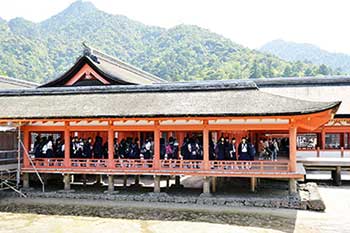 中3修学旅行