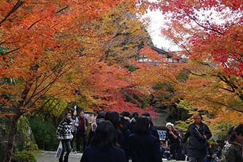高2修学旅行