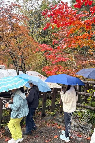 3年生高原学校